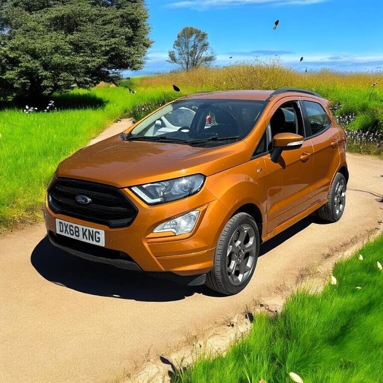 2018 Ford EcoSport 1.0T ST-Line (140ps)