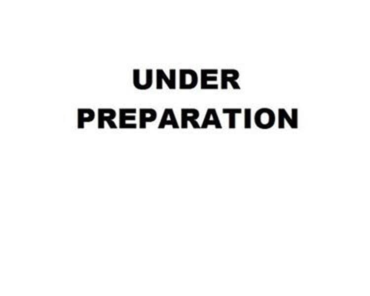 2024 Renault Arkana 1.6 esprit Alpine