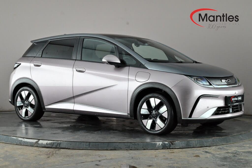 2024 Byd Dolphin E Design